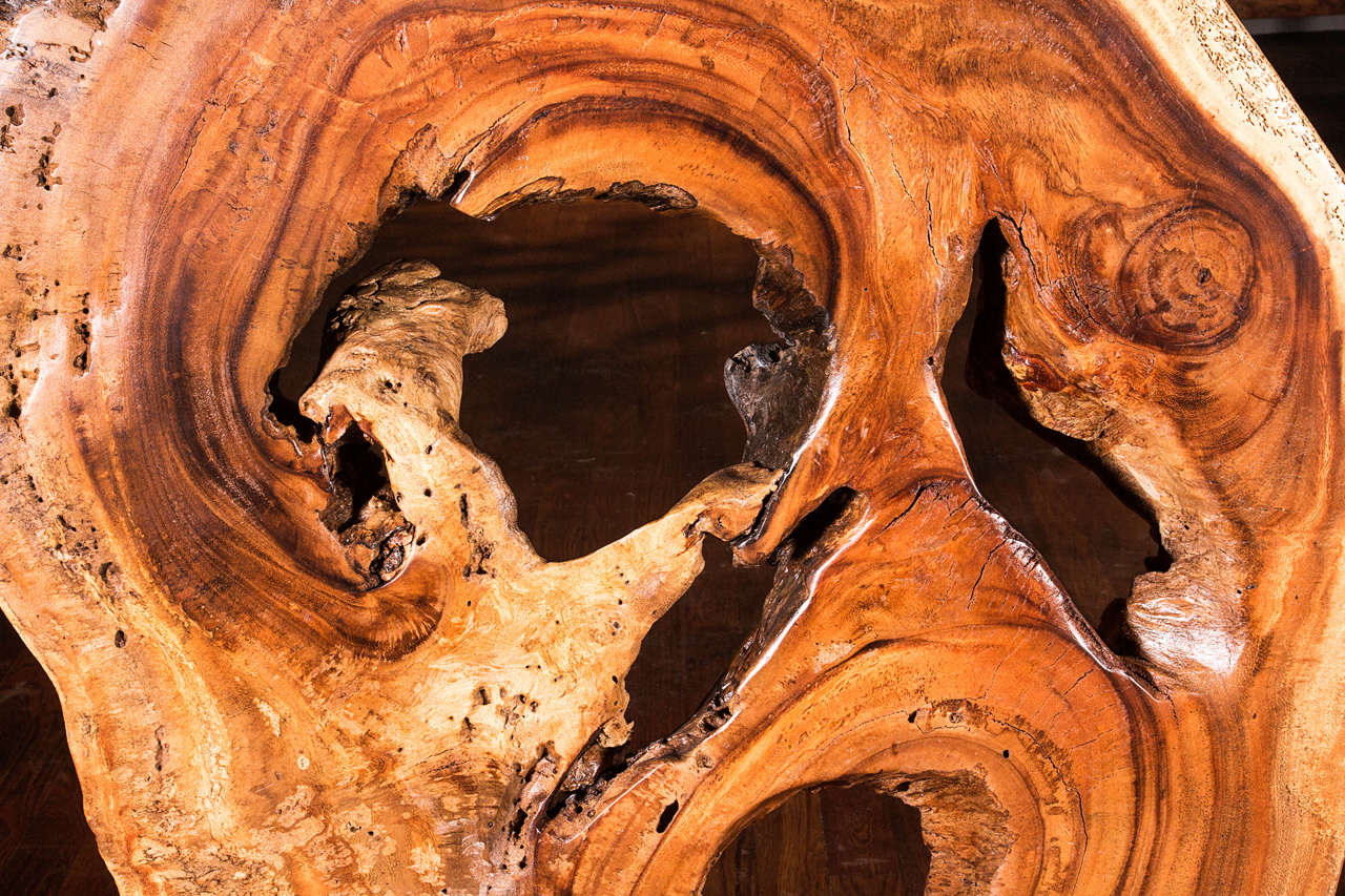 Wood Thai Acacia Root Sculpture