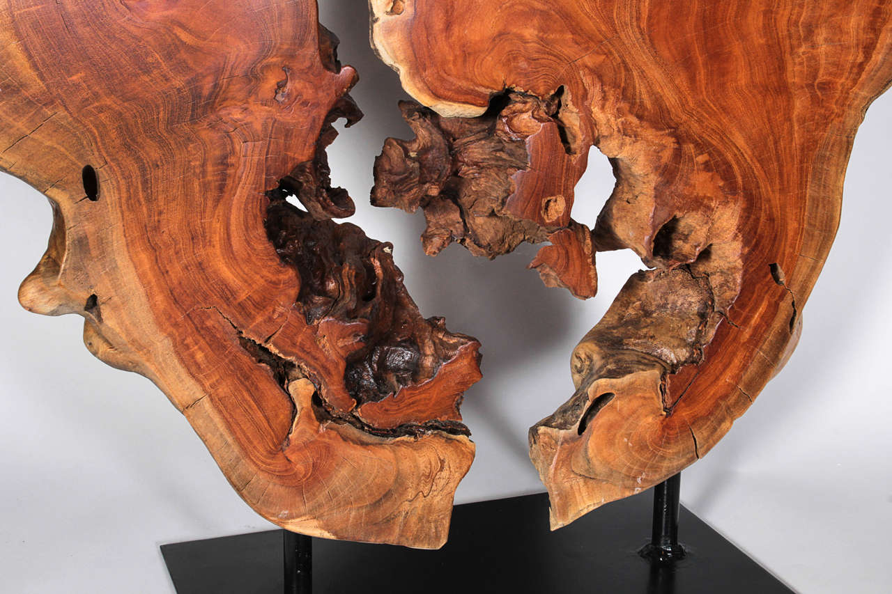 Wood Thai Hardwood Root Sculpture