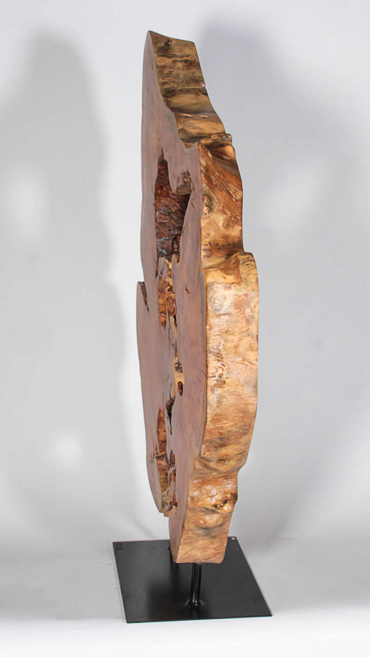 Thai Hardwood Root Sculpture 1
