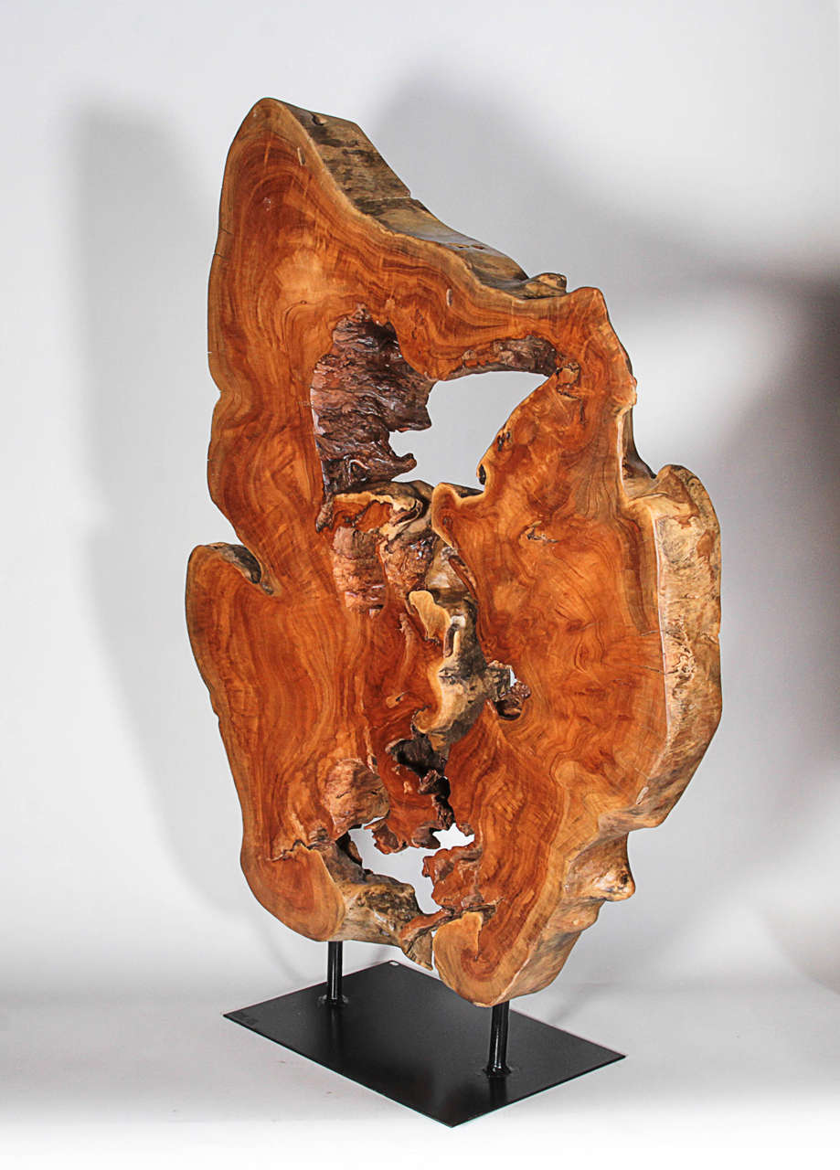 Thai Hardwood Root Sculpture 2
