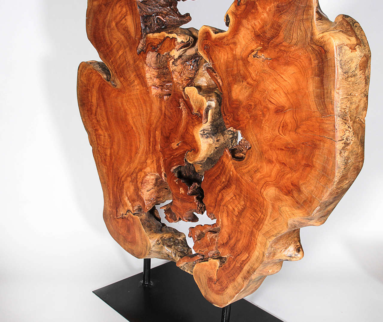 Thai Hardwood Root Sculpture 3