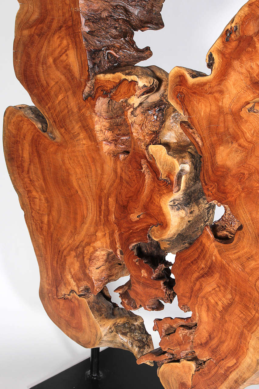 Thai Hardwood Root Sculpture 4