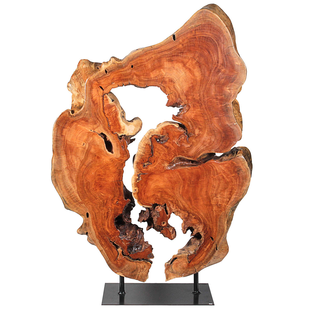 Thai Hardwood Root Sculpture
