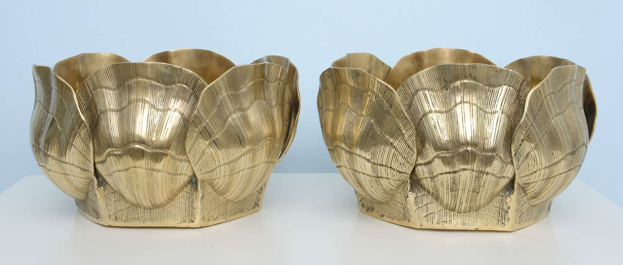 Acrylic Large Chic 1970s Pair of Nautical, Shells Brass Planters or Bowls
