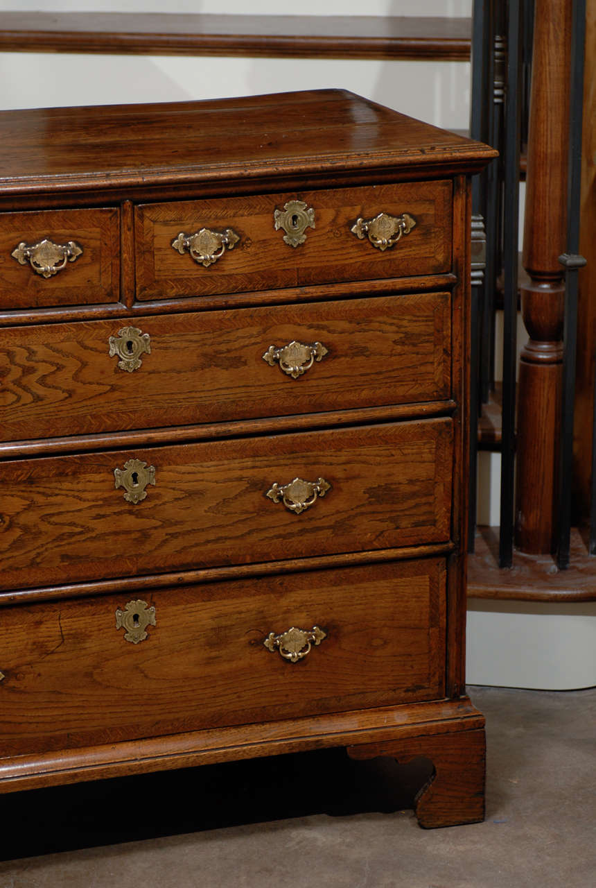19th Century English 1820s Regency Oak Five-Drawer Commode with Crossbanding and Bracket Feet For Sale