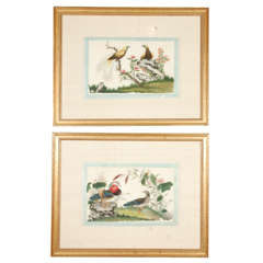 Pair of Chinese Export Pith Paper Paintings of Birds, c 1840