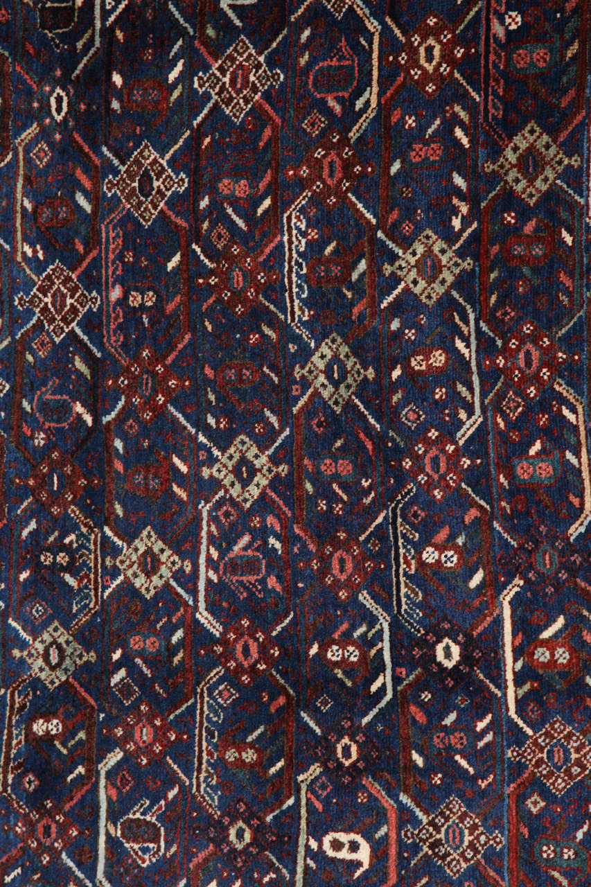 Persian Qashqai Carpet circa 1880 in Pure Handspun Wool and Natural
