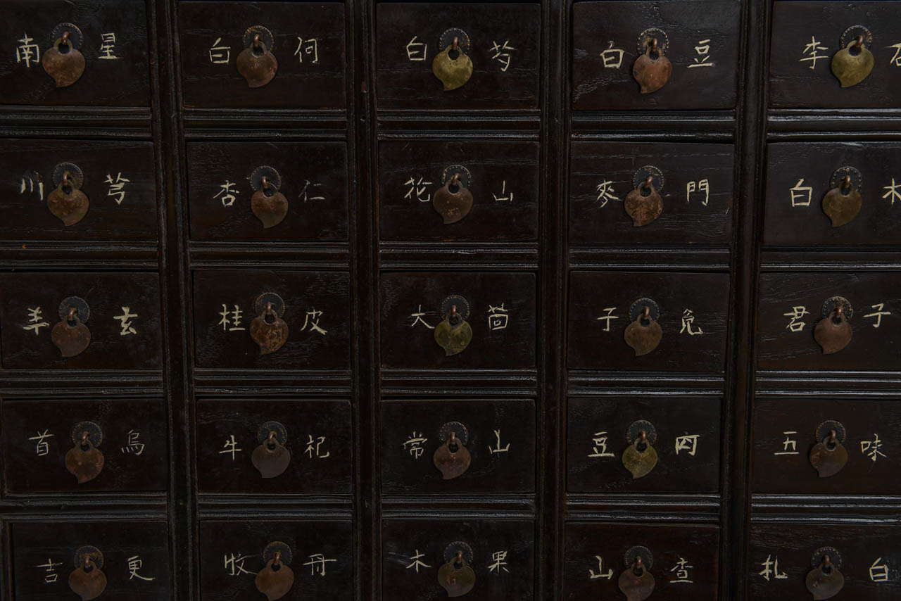 Superb Chinese Apothecary Chest 2