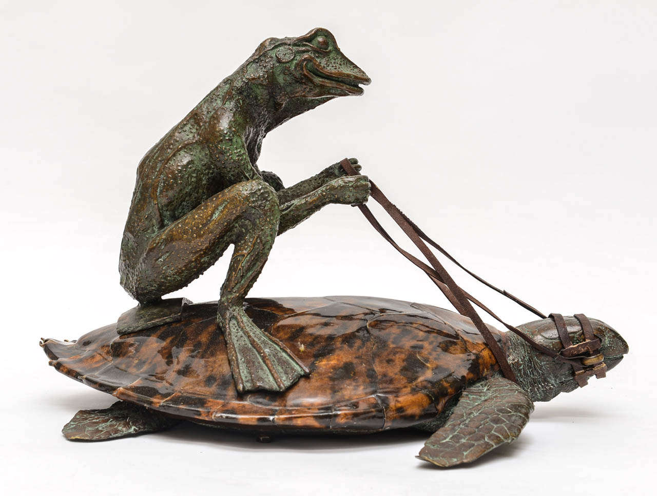 frog riding a turtle