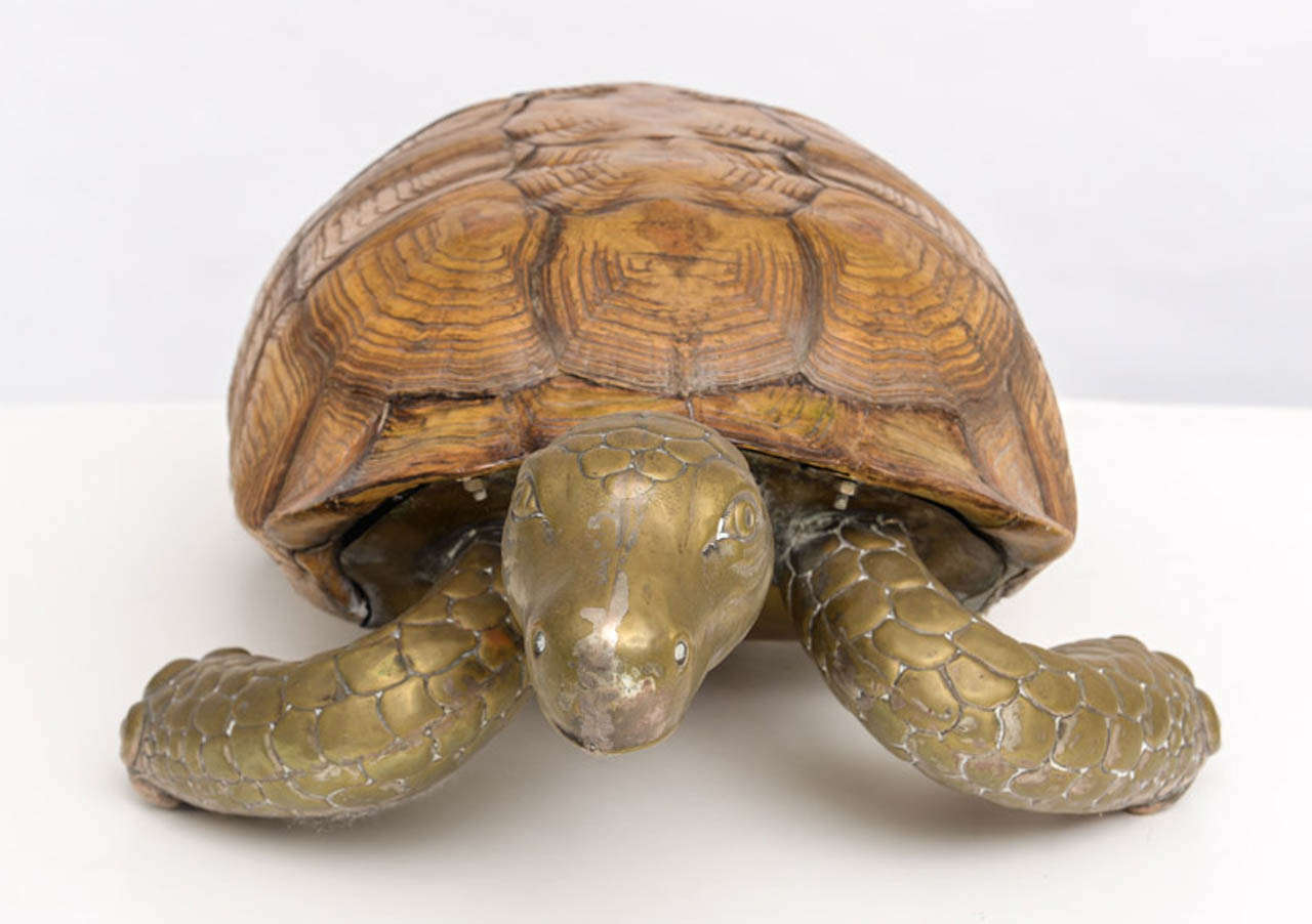 Unknown Large Vintage Turtle - Style of Bustamante For Sale