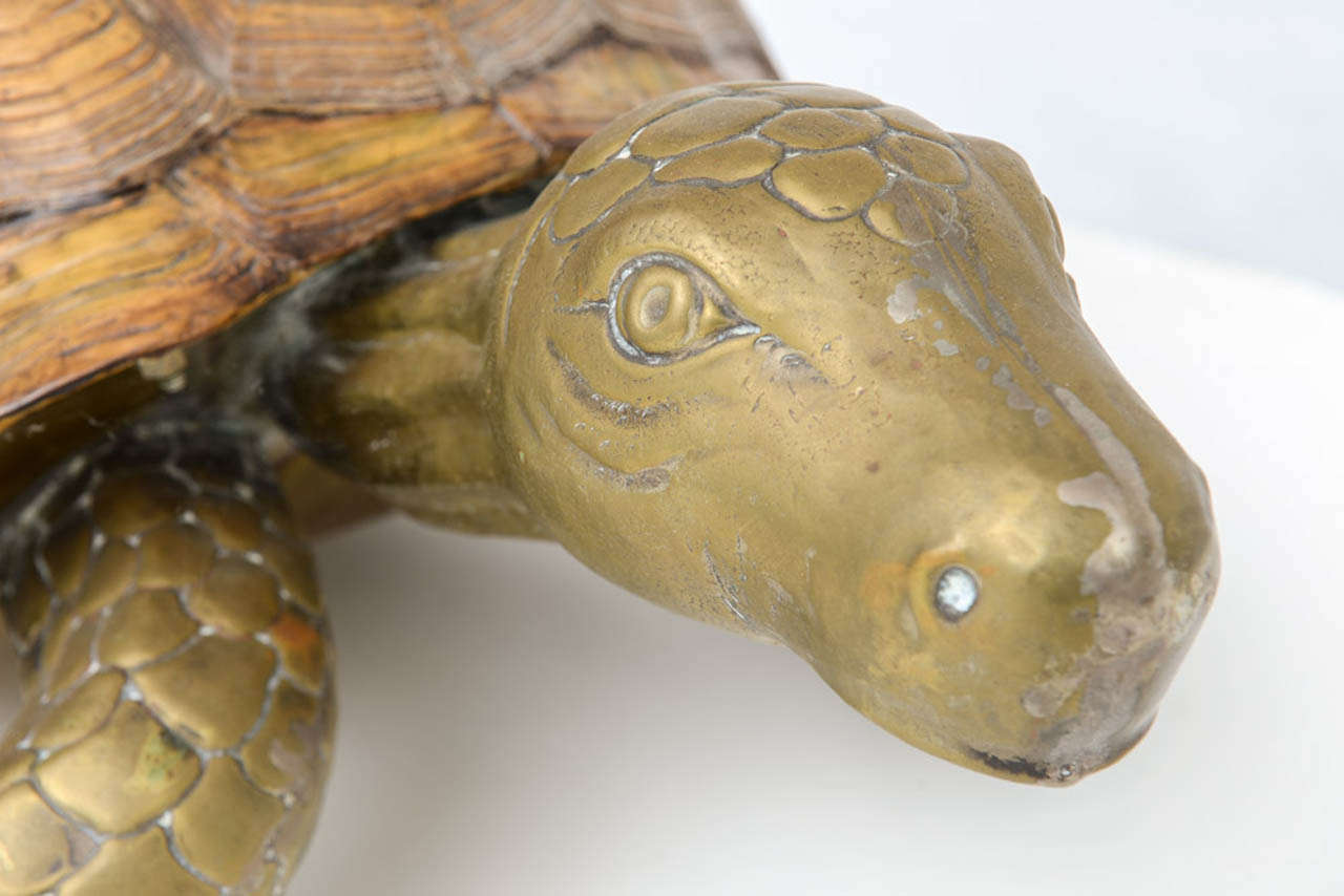 Late 20th Century Large Vintage Turtle - Style of Bustamante For Sale
