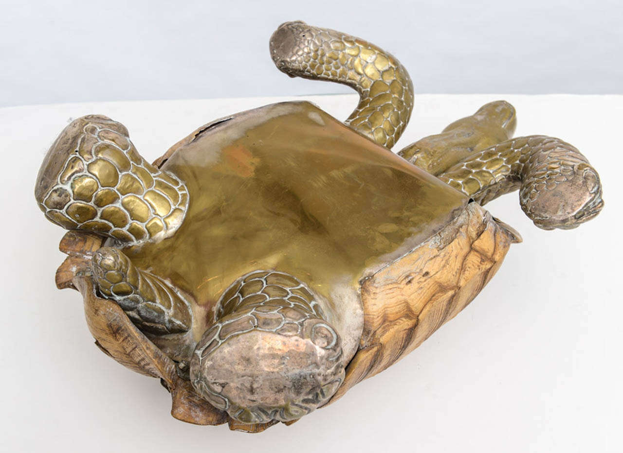 Large Vintage Turtle - Style of Bustamante For Sale 4