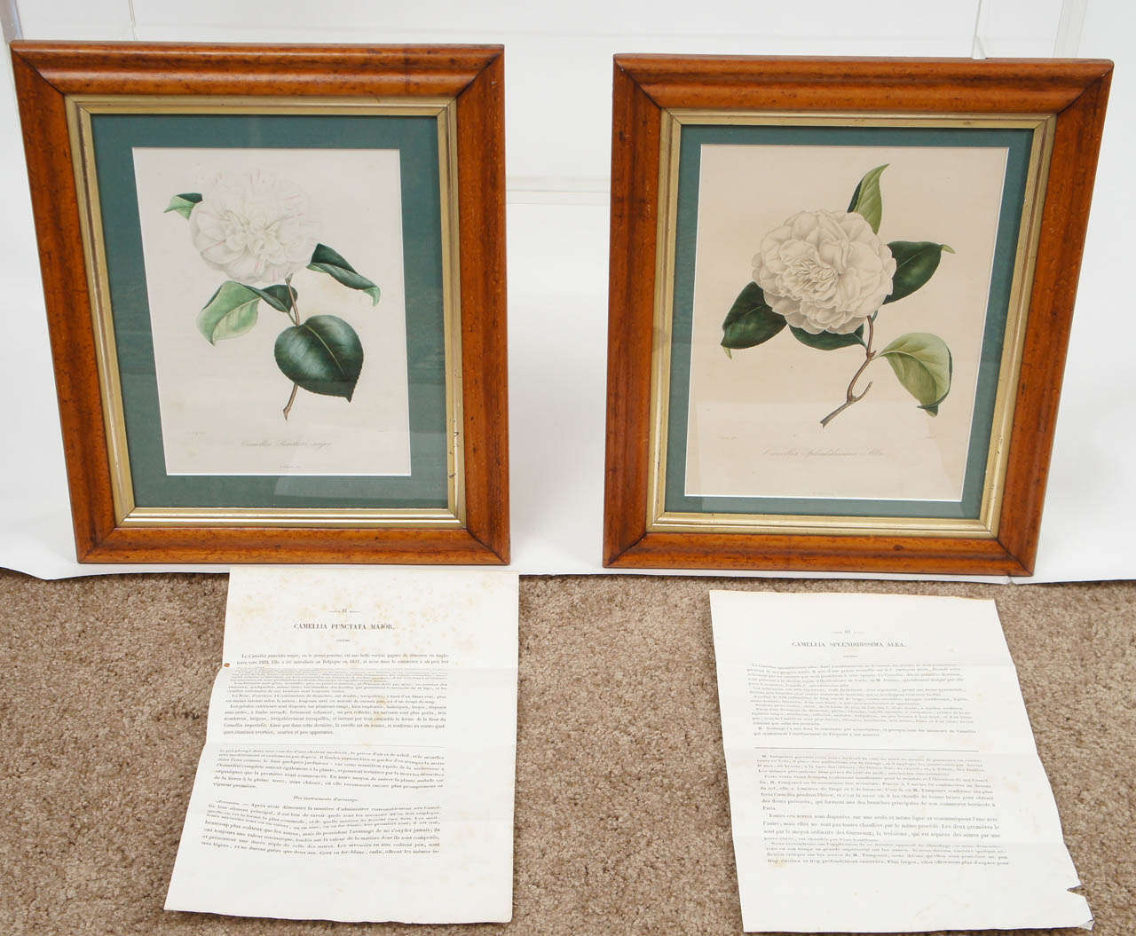 Two N.Remond Botanical Prints in Tiger Maple Frames, 19thC. 1