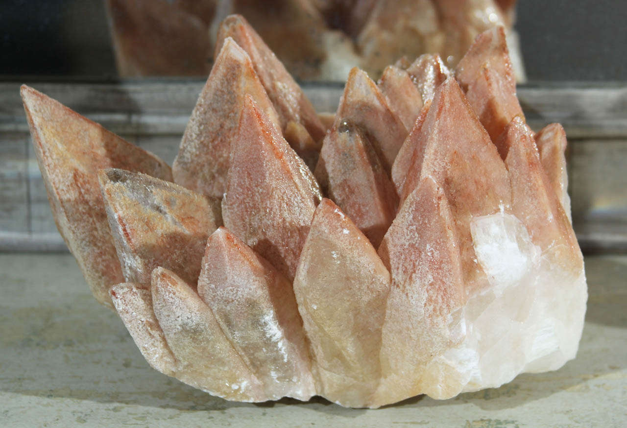 beautiful large specimen of dogs tooth quartz