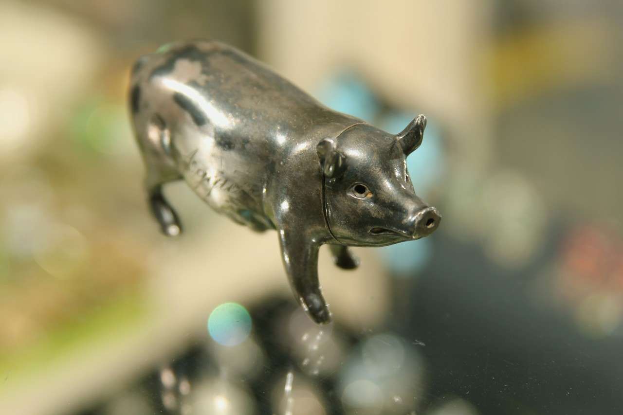 Aggie's little pig