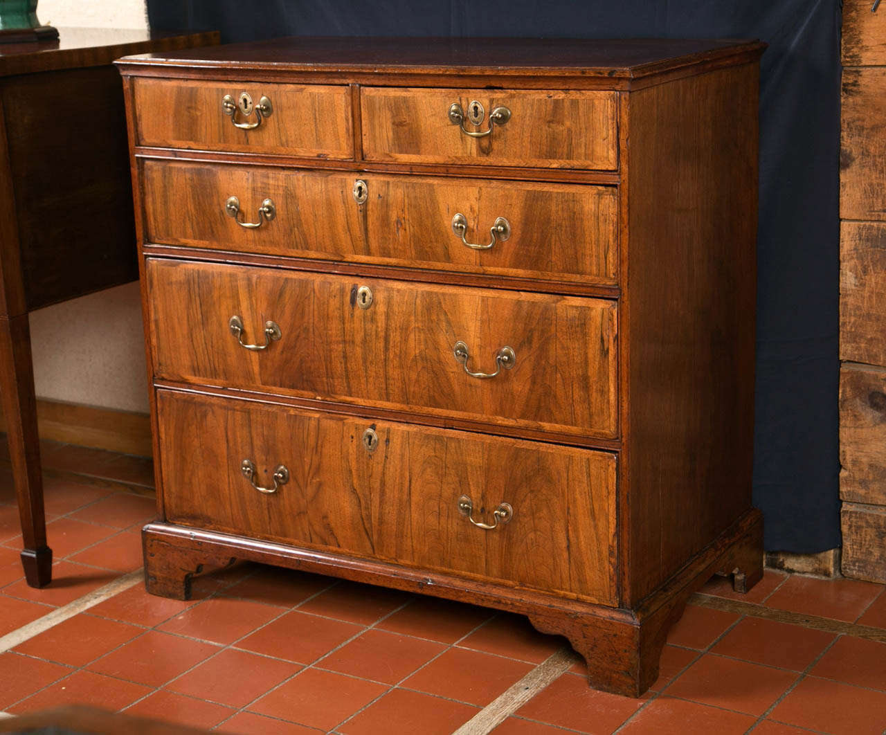 George III Walnut Chest of Drawers For Sale 4