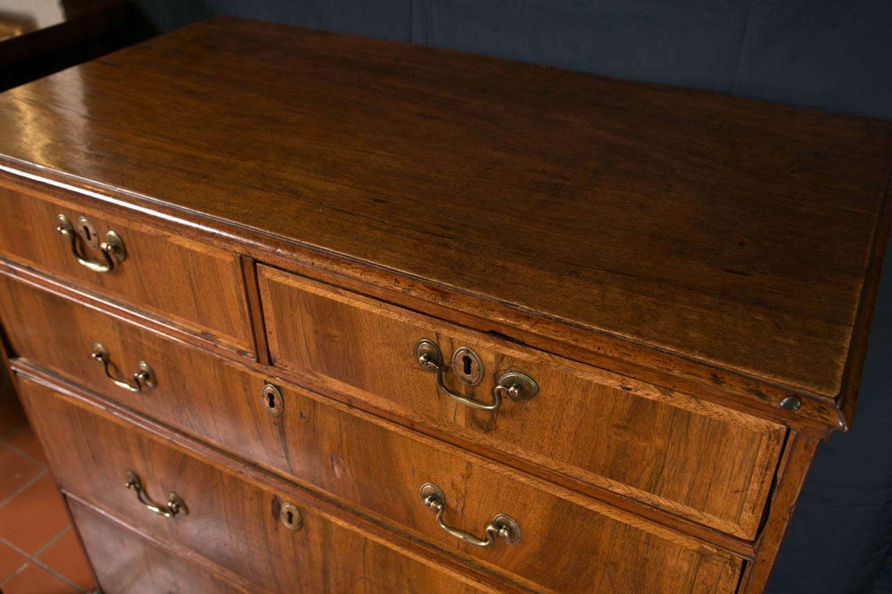 George III Walnut Chest of Drawers In Excellent Condition For Sale In Woodbury, CT