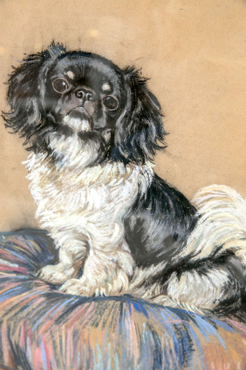 Pekingese Pastel Painting In Good Condition In Stamford, CT