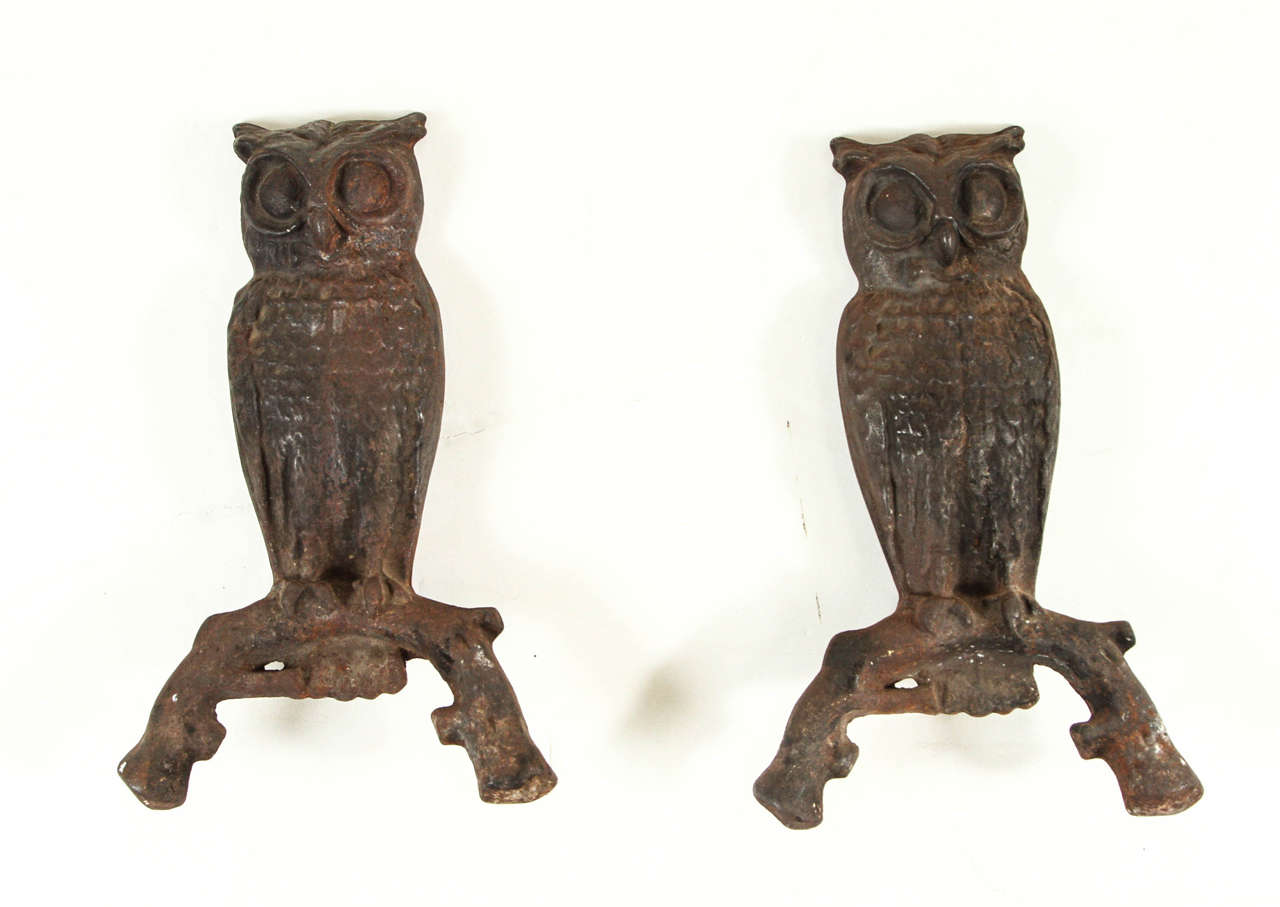Whimsical pair of vintage solid cast iron andirons with owl motif.