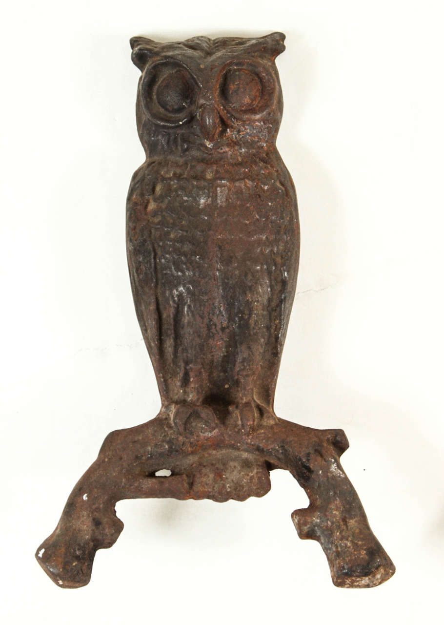 Iron Pair of Owl Cast Andirons For Sale