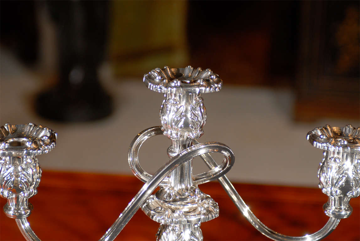 Pair of Silver Plated Candelabras For Sale 1