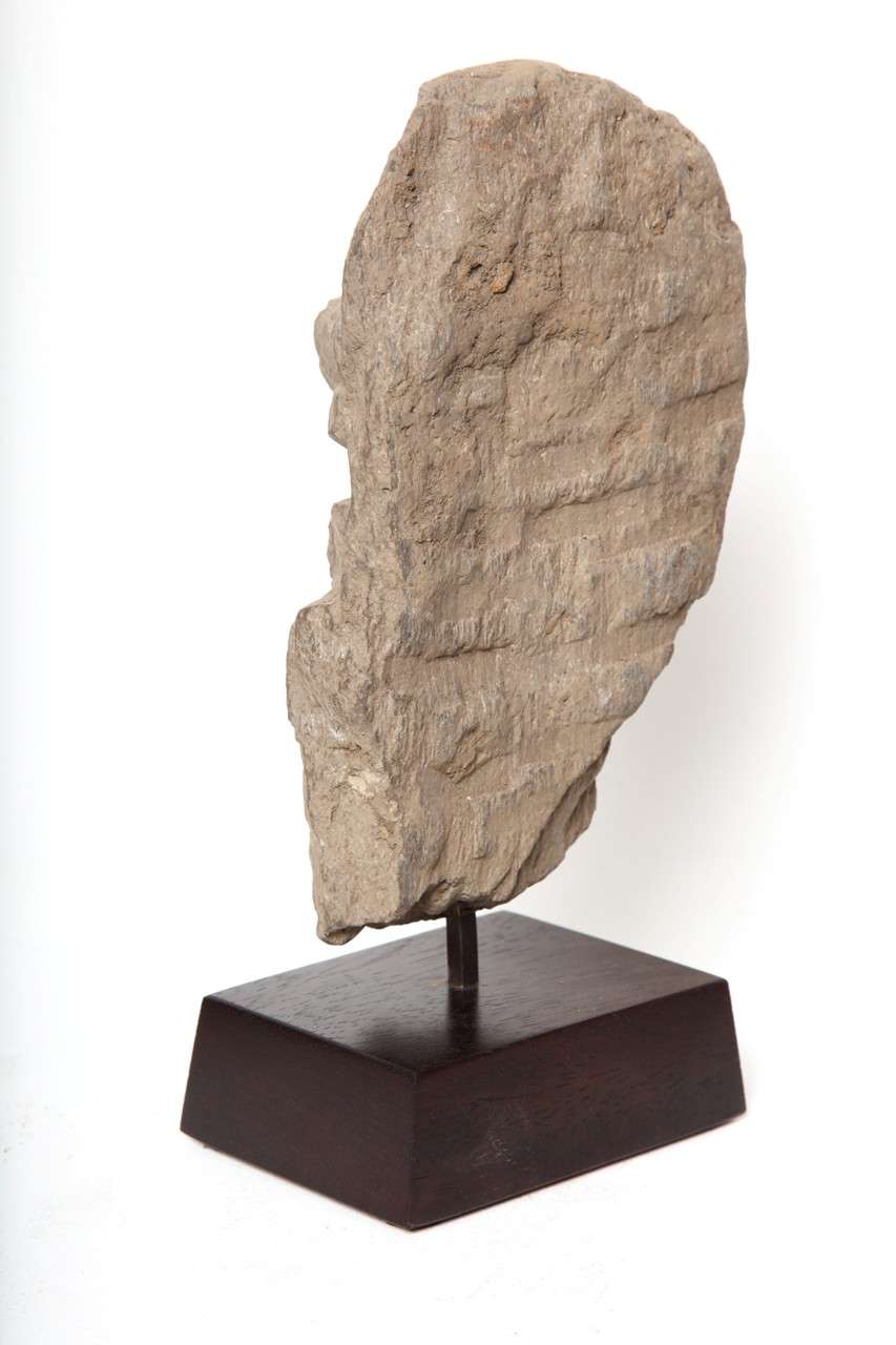 Afghan Gandharan Schist Stone Bust of  a Bodhisattva For Sale