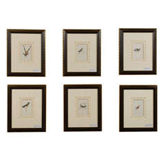 Set of 6 Antique Hummingbird Engravings by Lizars