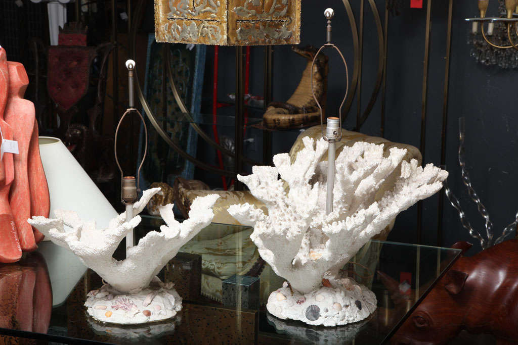Pair of Coral Lamps