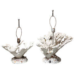 Pair of Coral Lamps