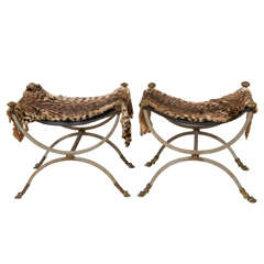 Pair of Neoclassical Wrought Iron Curule Stools