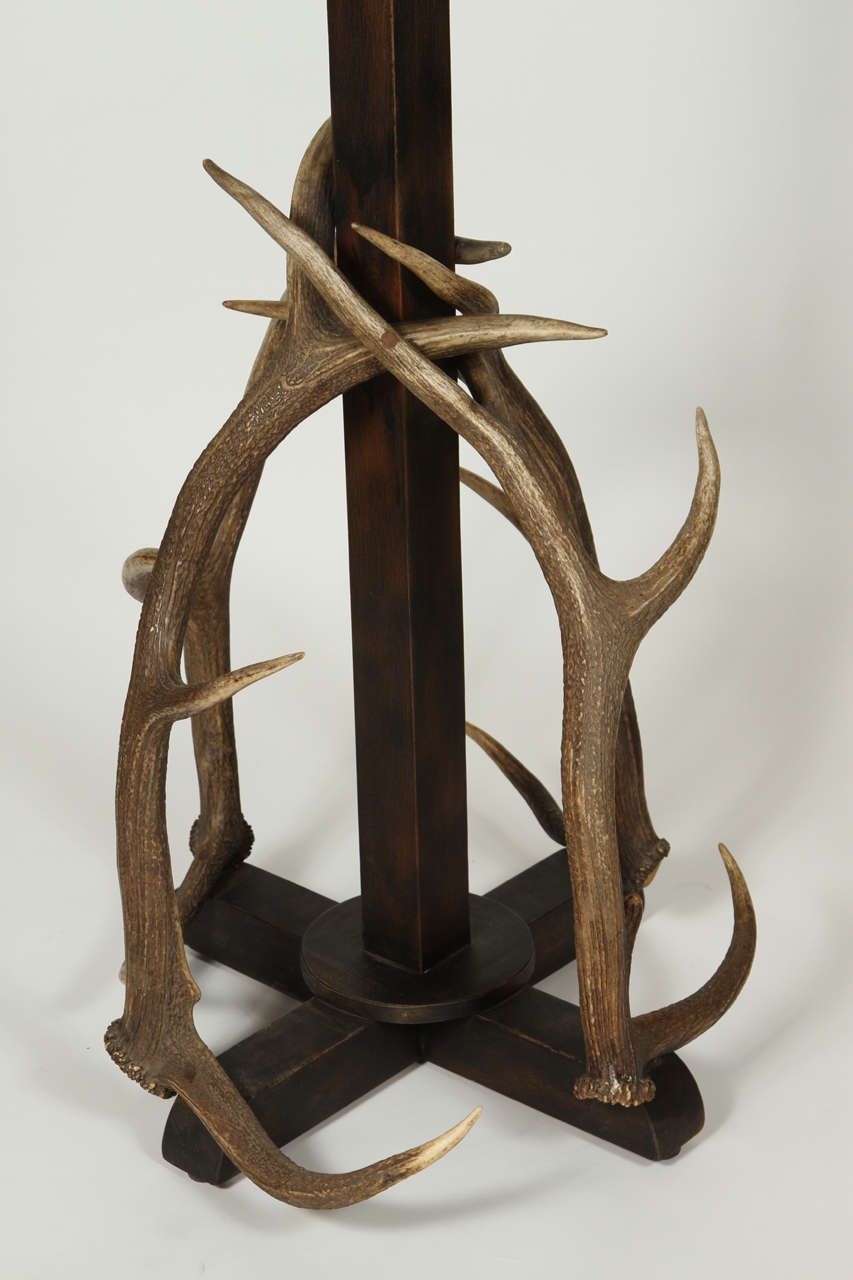 deer antler coat hanger