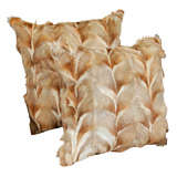 Pillows, Fox Fur 8