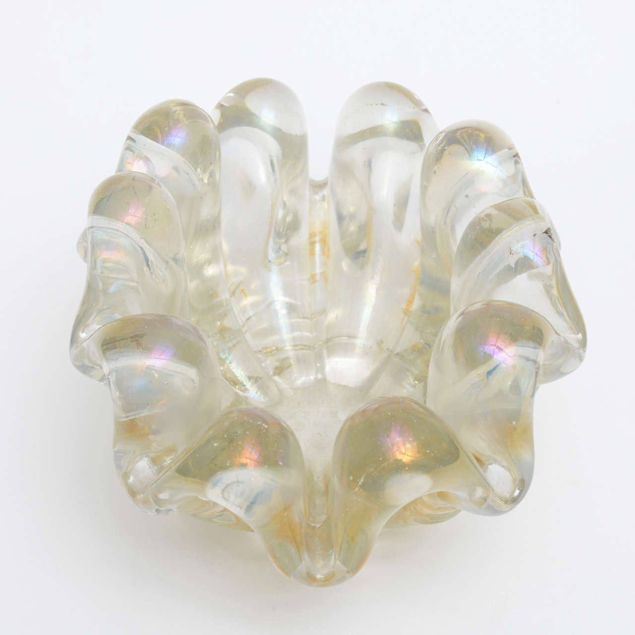 glass clam shell bowl