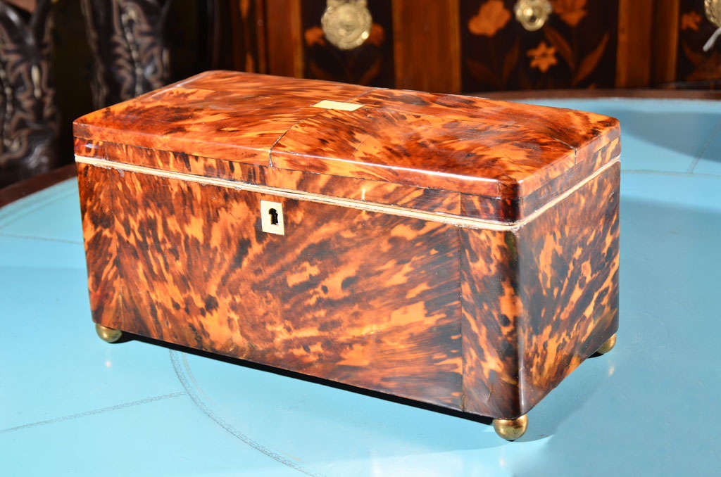 Tortoise Shell Tea Caddy