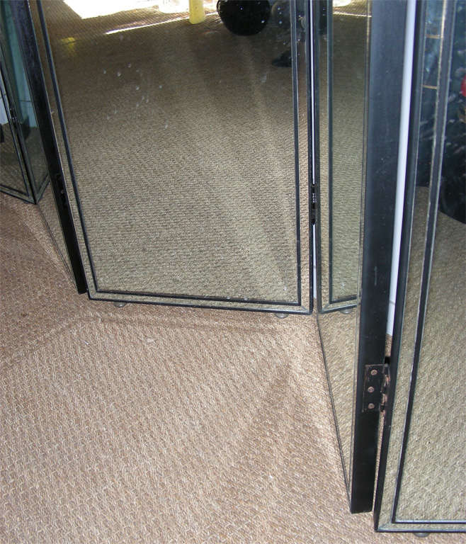Screen with 6 Foils in Mirror 2