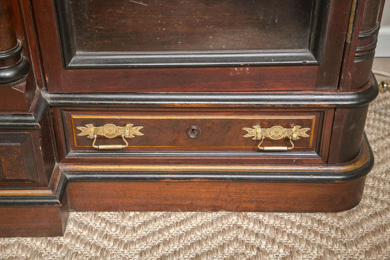 19th C American Monumental Ebonized Display Cabinet 1