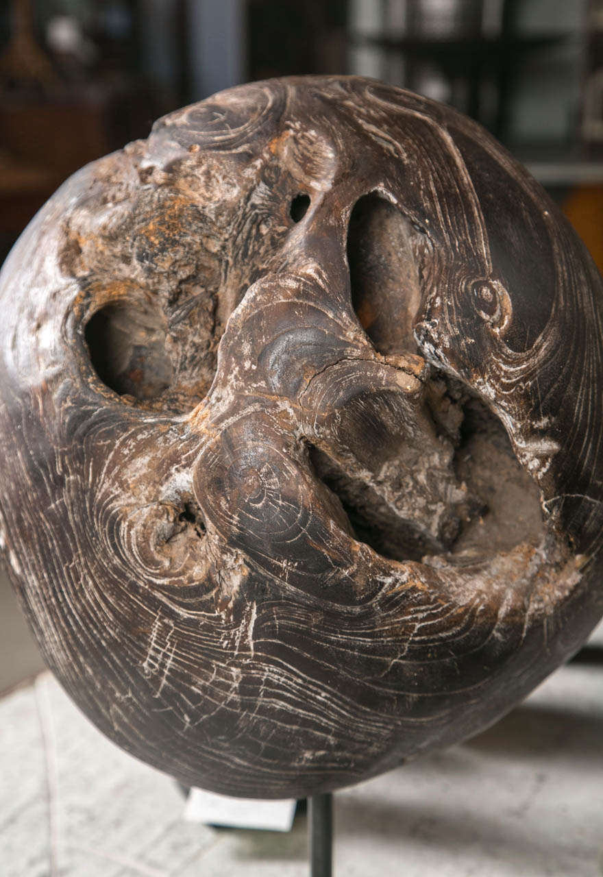 Burled Root Ball Used for Meditation In Excellent Condition For Sale In Stamford, CT