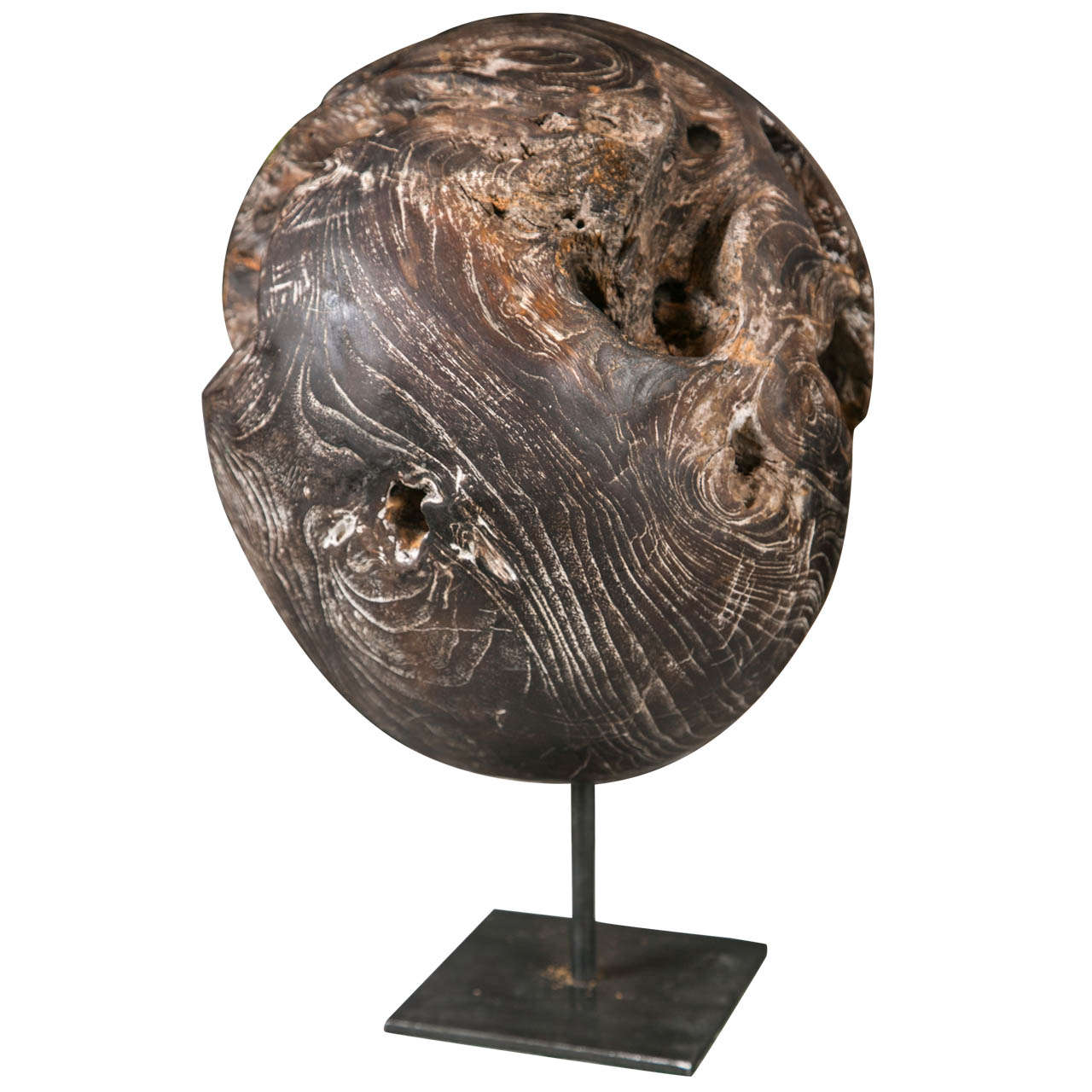 Burled Root Ball Used for Meditation For Sale