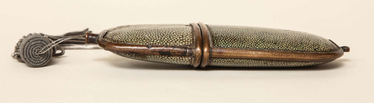 French Indo-Chinese Art Deco Shagreen Glasses Case 3