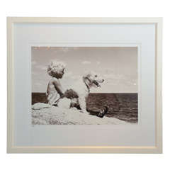 "Guard Dog" Sepia Photograph in a White Lacquered Frame 11