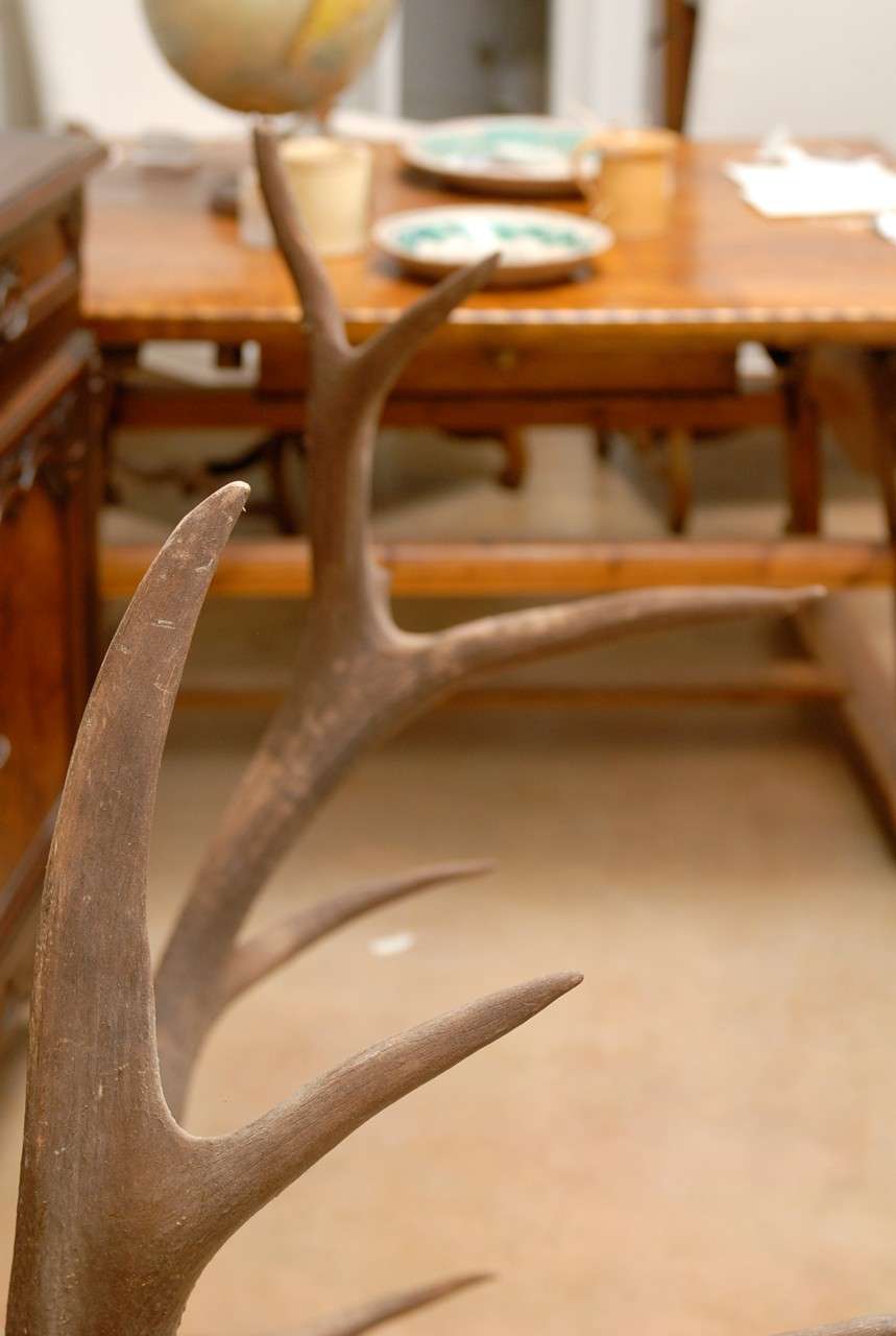 English Pair of Large Antlers