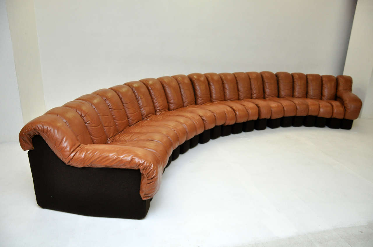 21 section non-stop sofa.  Model DS-600.  Designed by Ueli Berger for DeSede of Switzerland.  