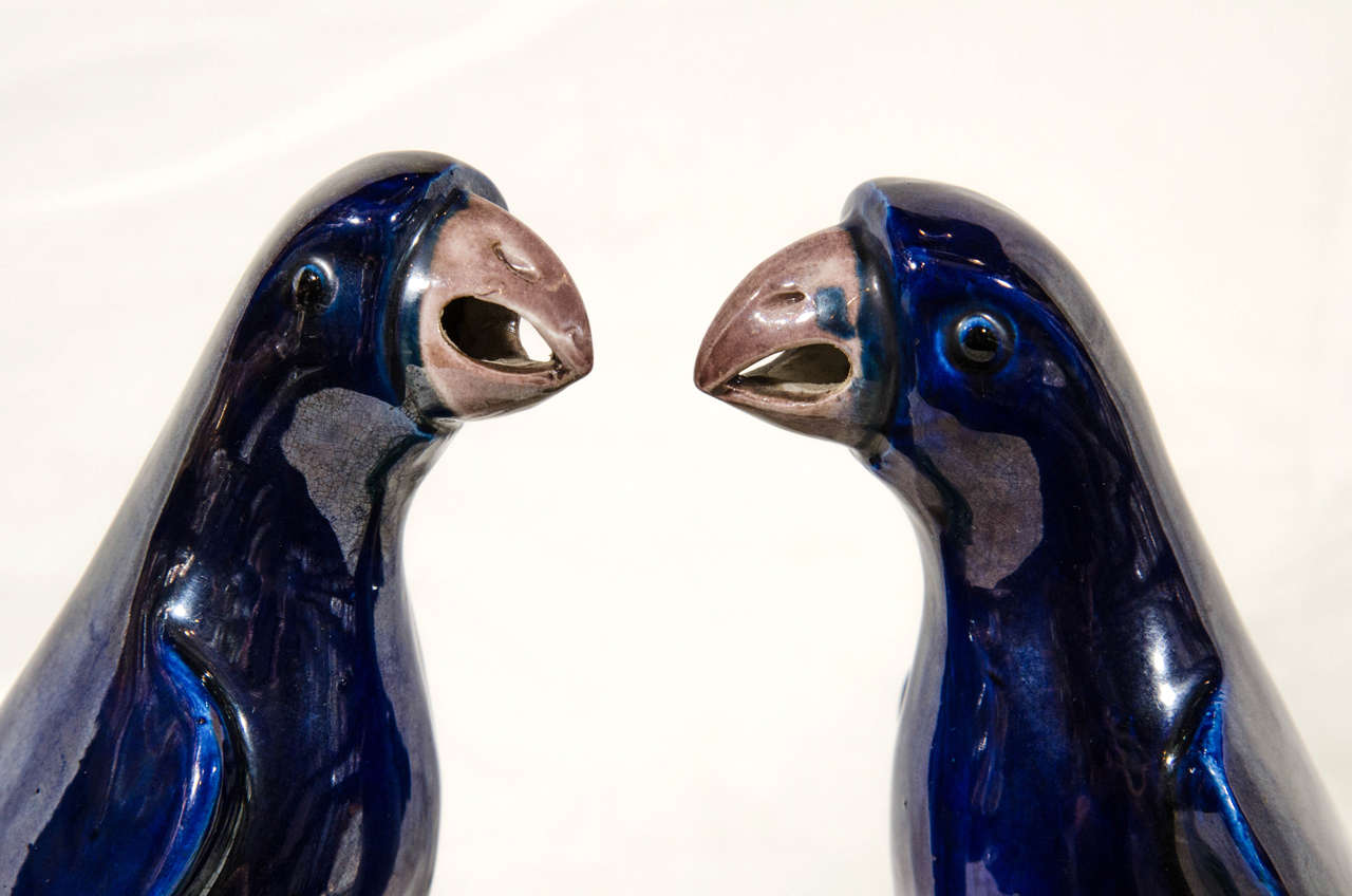 Qing Pair of 19th Century Chinese Parrots with Cobalt Blue Glaze