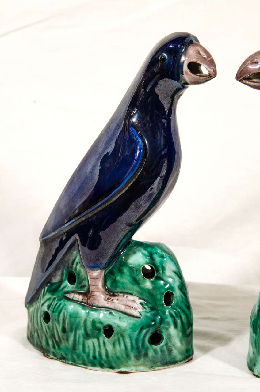 Pair of 19th Century Chinese Parrots with Cobalt Blue Glaze In Excellent Condition In Katonah, NY
