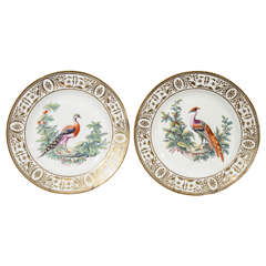 Pair of Regency Period Dishes Decorated with Exotic Birds