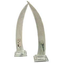 Attractive Pair of Mid-Century Lucite Horn Sculptures by Van Teal