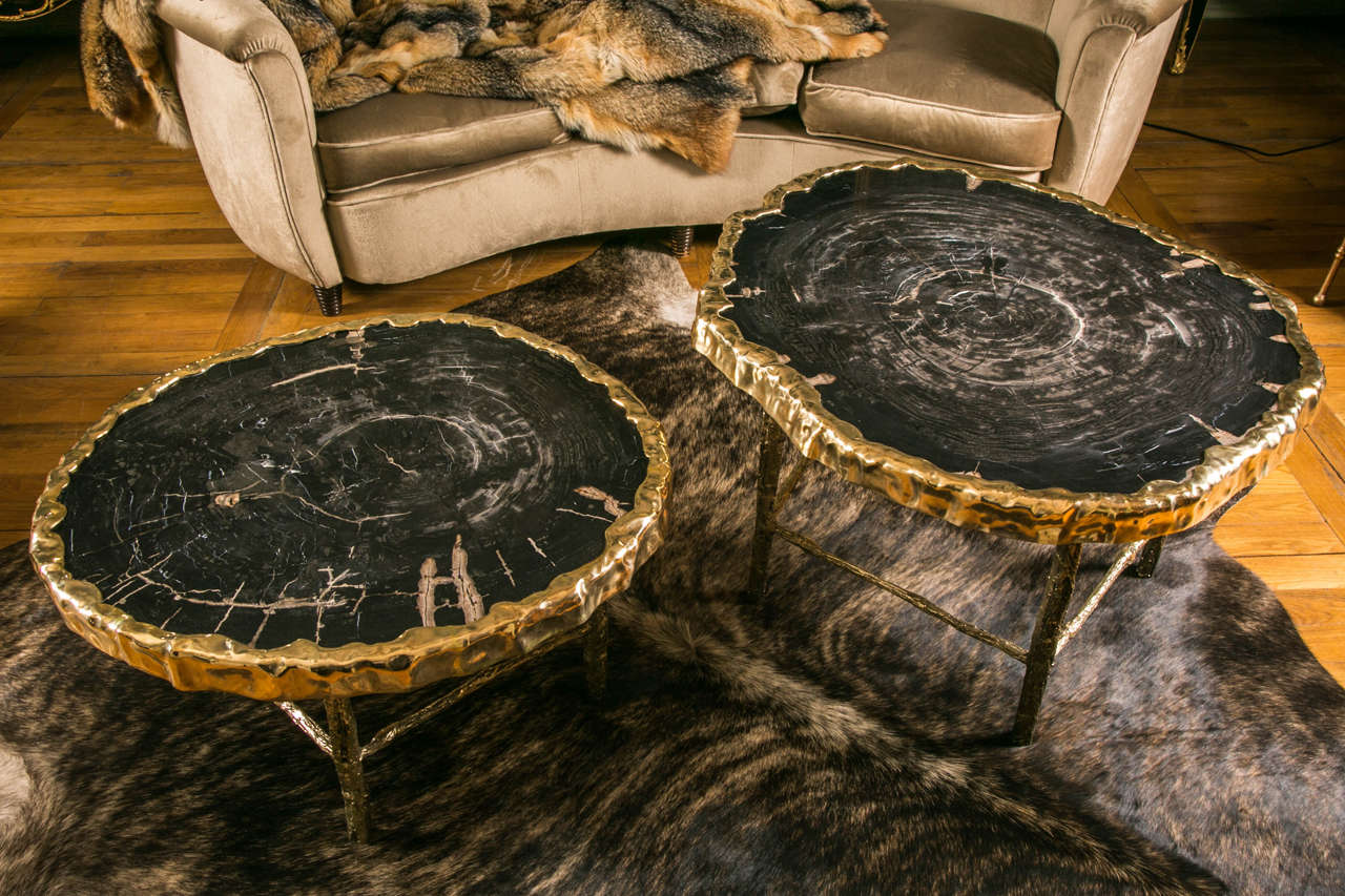 Modern Pair of Black Petrified Wood Coffee Tables