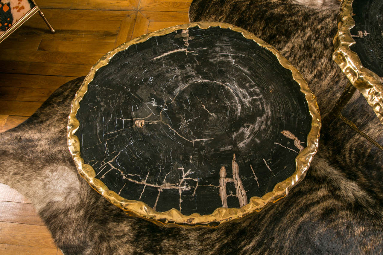 French Pair of Black Petrified Wood Coffee Tables