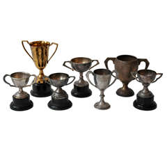 Set of 7 Mini Vintage Trophies Set of 7 Mini Vintage Trophies