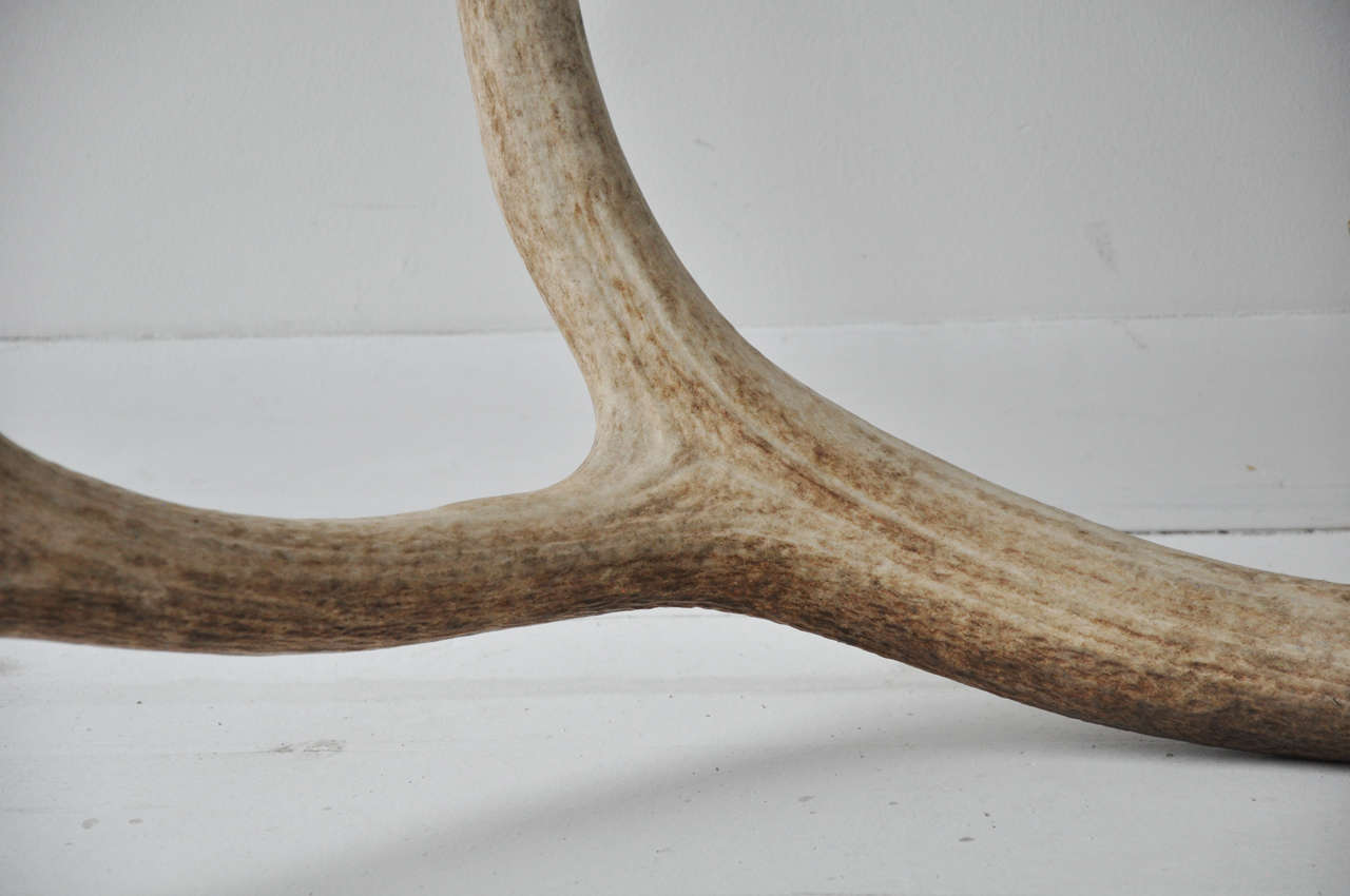 Pair of Elk Antlers 1